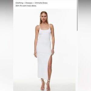 Aritzia Dress